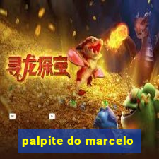 palpite do marcelo